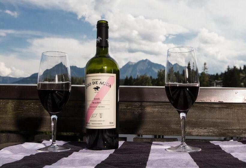 호텔 Arena Guesthouse