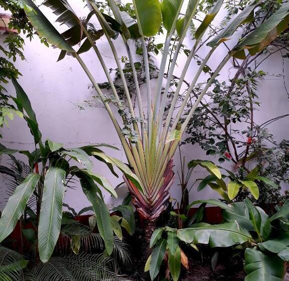 膳宿费 Casa Lavinia