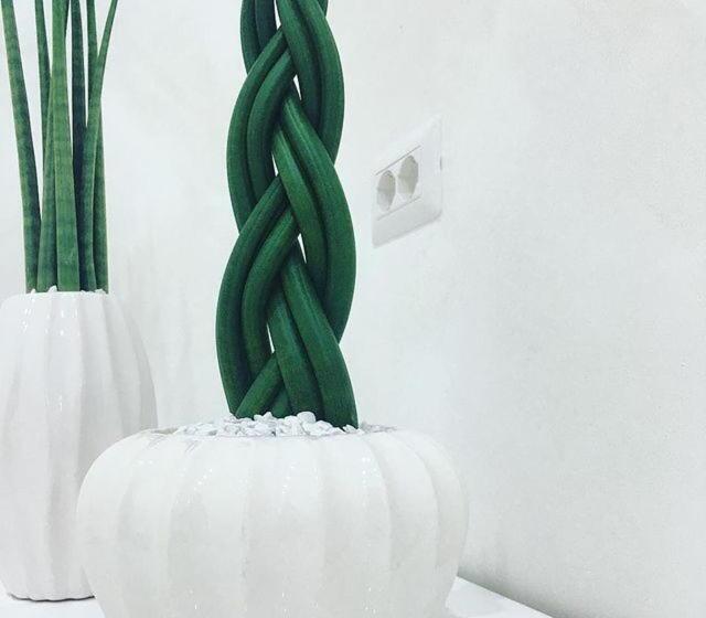 펜션 Dream & Relax