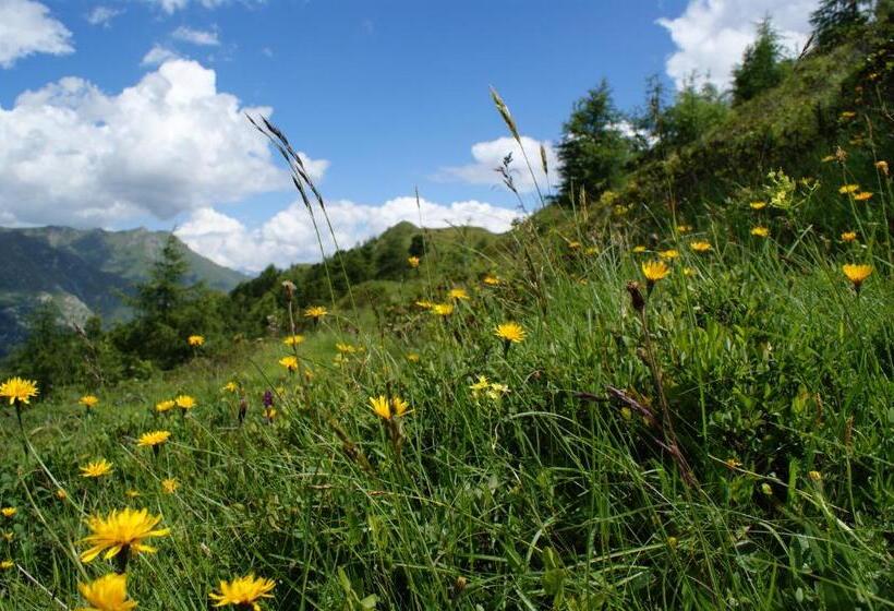 펜션 Garni Soldanella