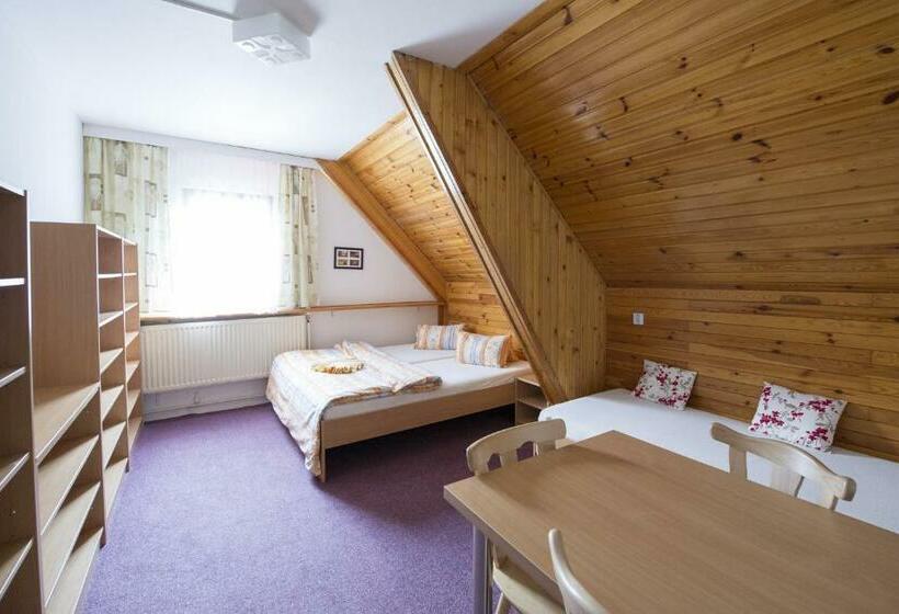 بنسيون Rodinný Penzion Skiland