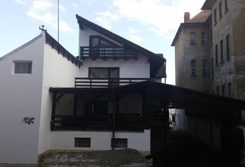 Pensiunea Casa Tepes