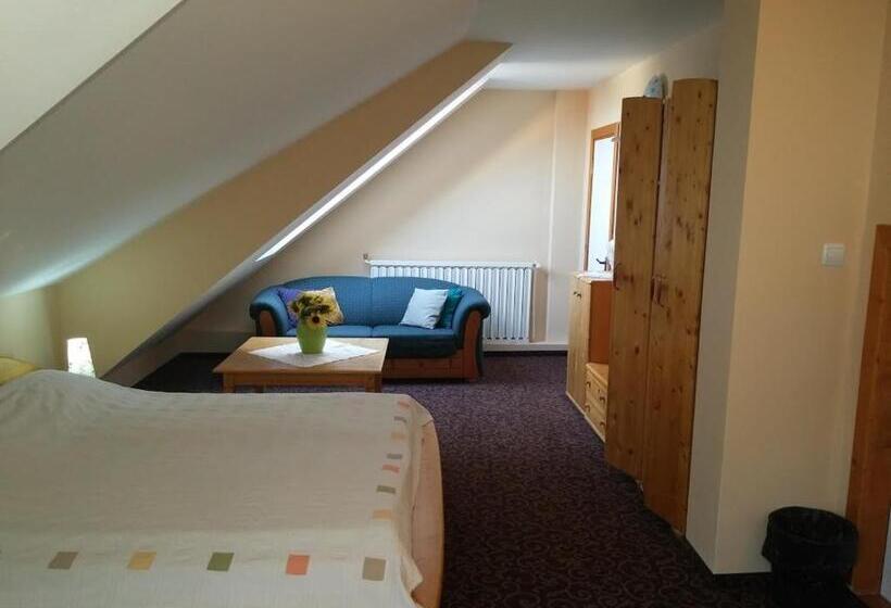 Pensiunea Casa Tepes