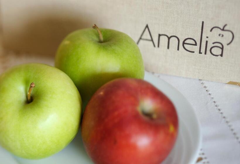 Amelia Apartments