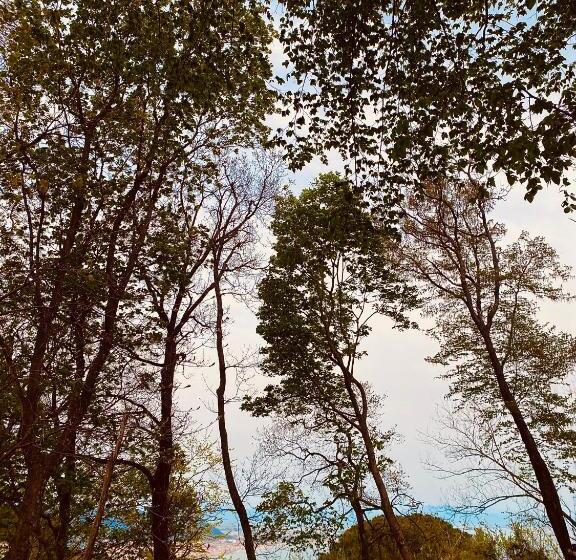 B&b Rifugio Angelina