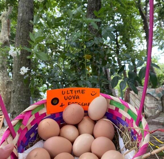 B&b Rifugio Angelina
