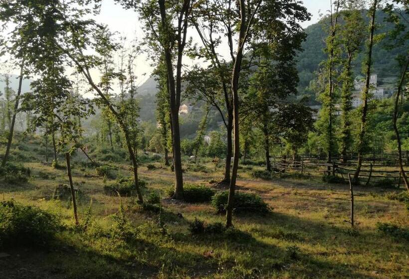 B&b Rifugio Angelina
