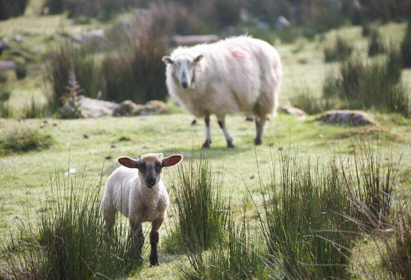 צימר The River House