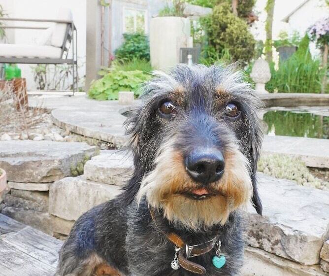 Boutique Hotel Am Ledererturm