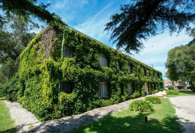 בית מלון כפרי Apartur Mar Del Plata