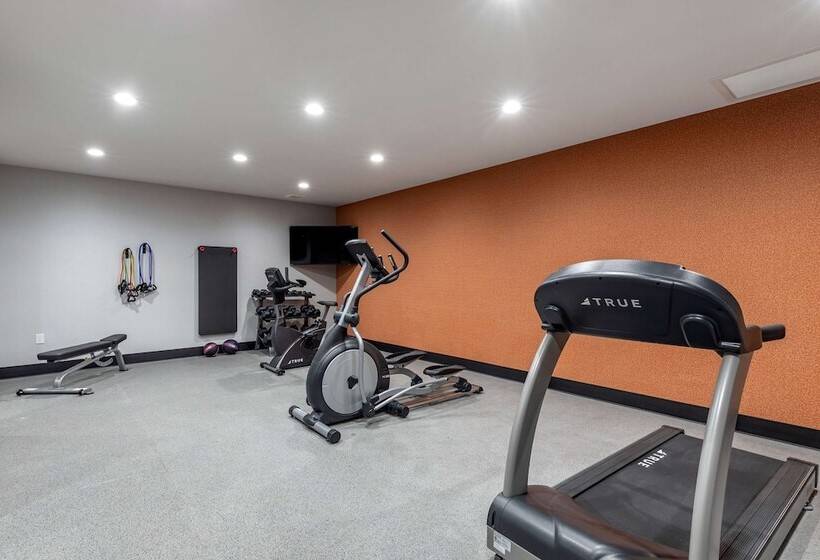 호텔 Best Western Plus Amarillo East