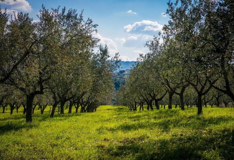 هتل Cliff Belvedere