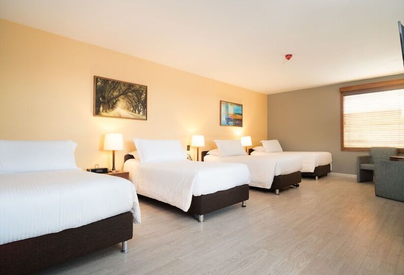 호텔 Habitel Select