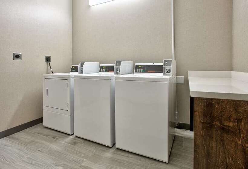 호텔 Hampton Inn & Suites Dalhart