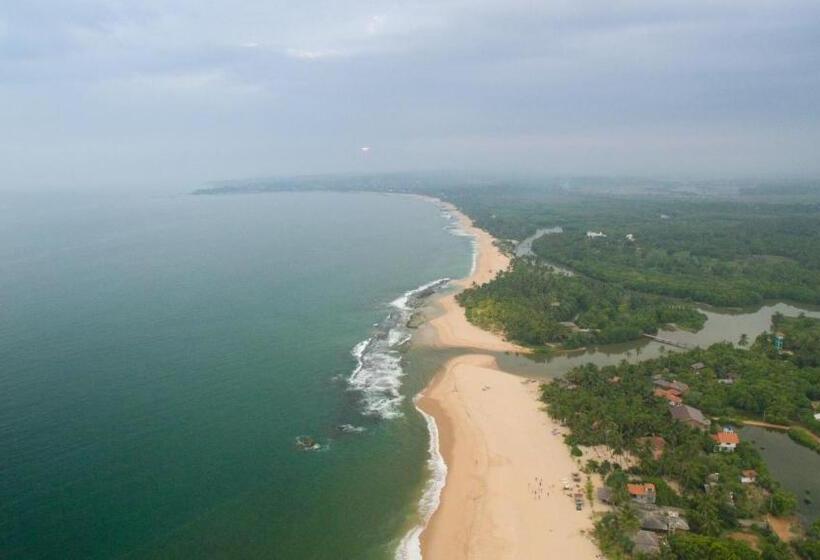 ホテル Mangrove Beach Chalets