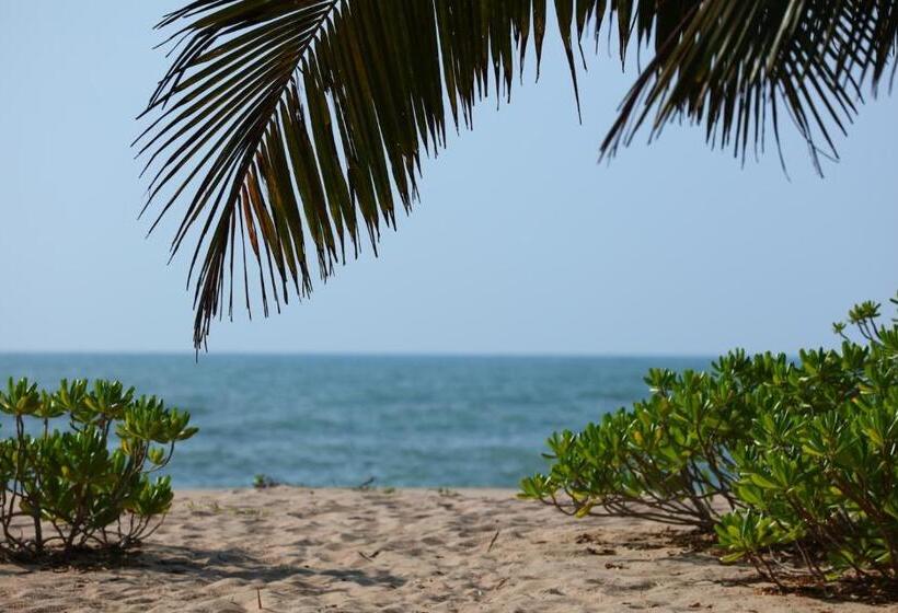 ホテル Mangrove Beach Chalets