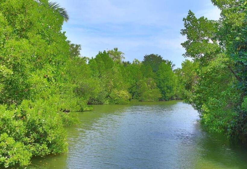 ホテル Mangrove Beach Chalets