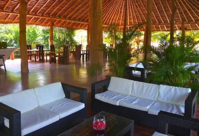 ホテル Mangrove Beach Chalets