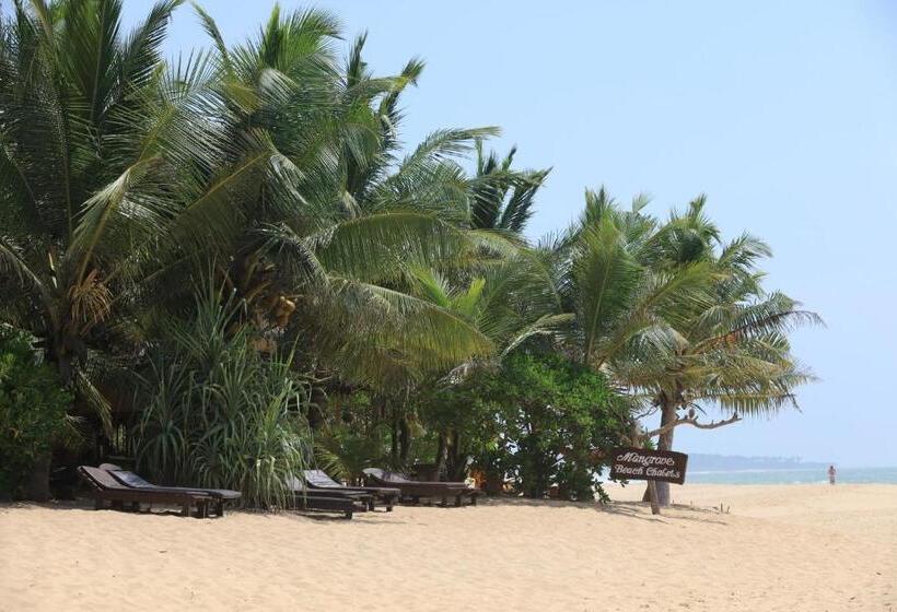 ホテル Mangrove Beach Chalets