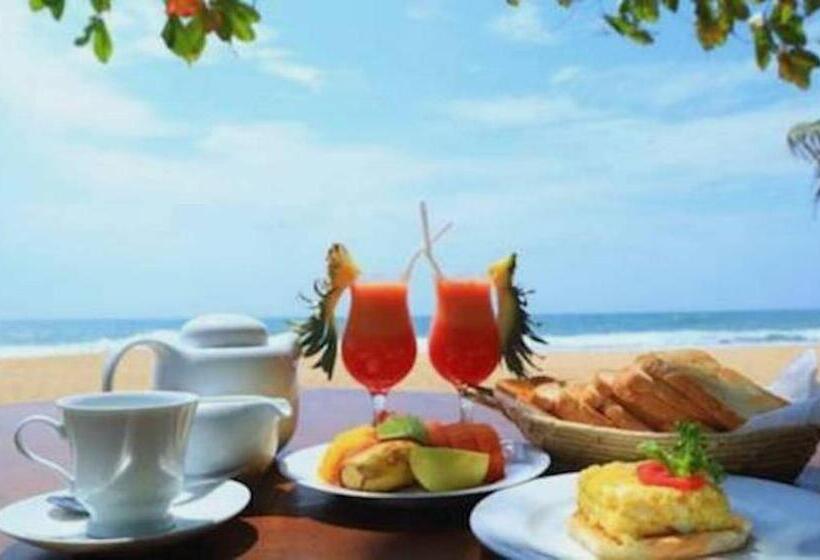 ホテル Mangrove Beach Chalets