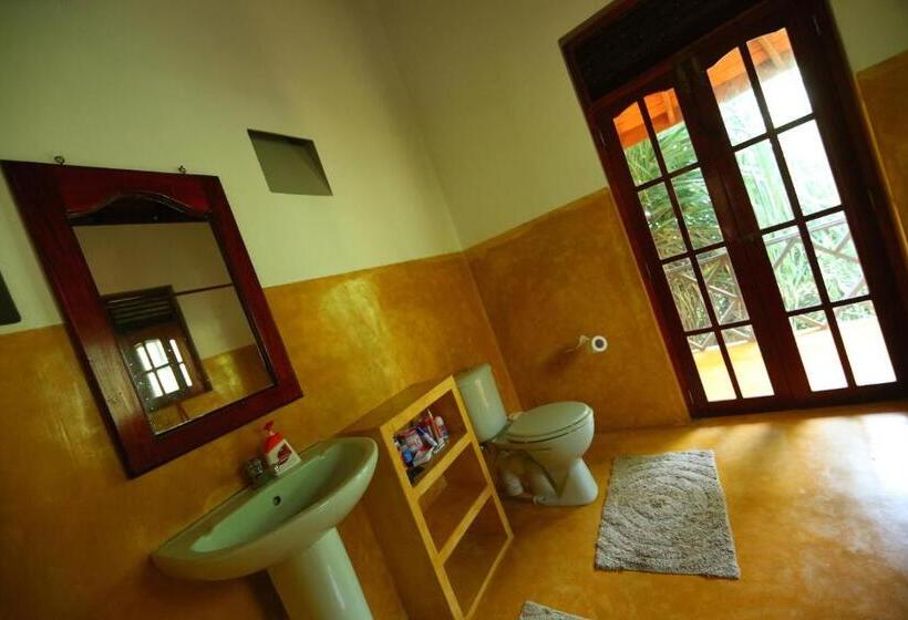 ホテル Mangrove Beach Chalets