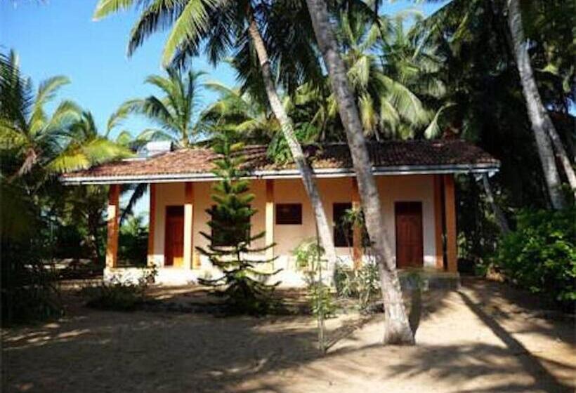 ホテル Mangrove Beach Chalets