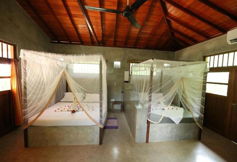 ホテル Mangrove Beach Chalets