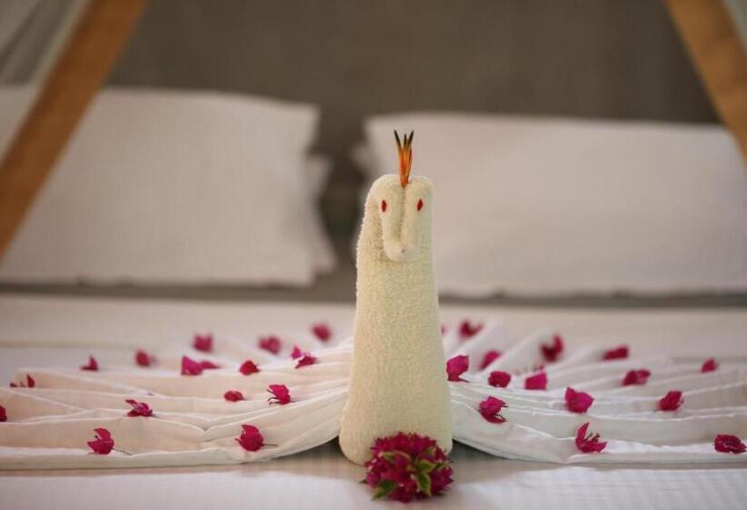 ホテル Mangrove Beach Chalets