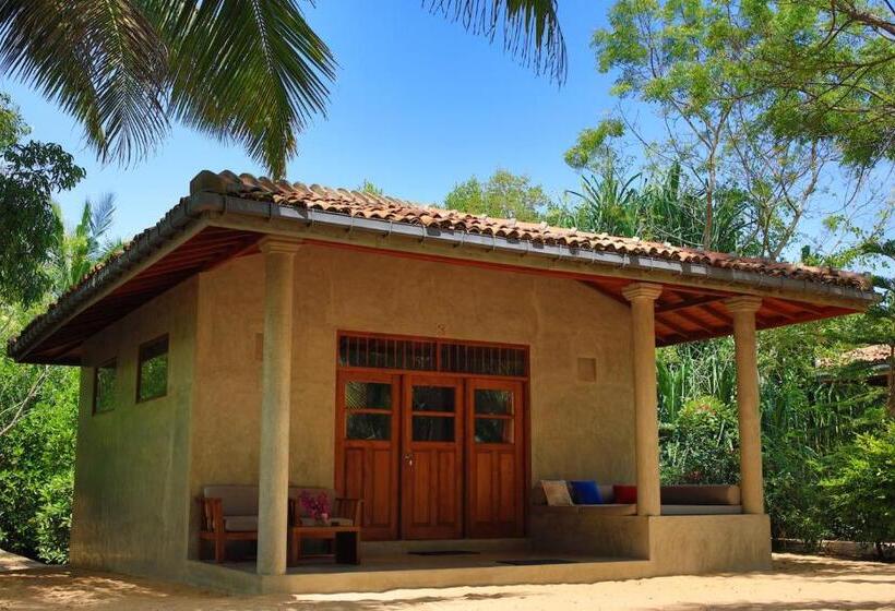 ホテル Mangrove Beach Chalets