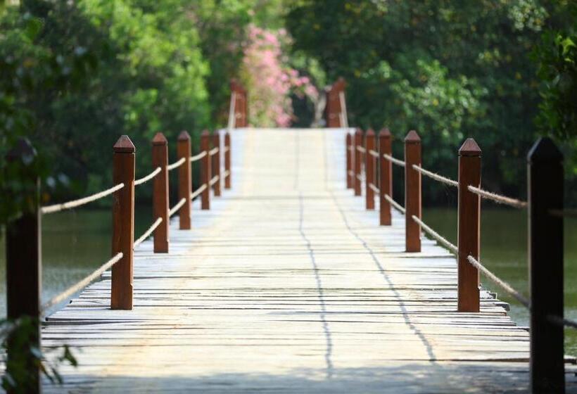 ホテル Mangrove Beach Chalets