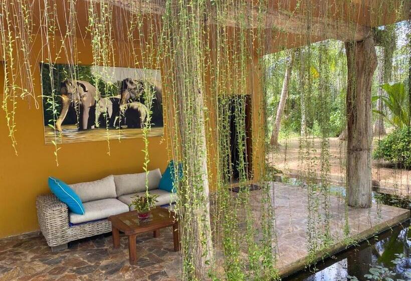 ホテル Mangrove Beach Chalets