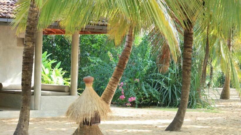 ホテル Mangrove Beach Chalets