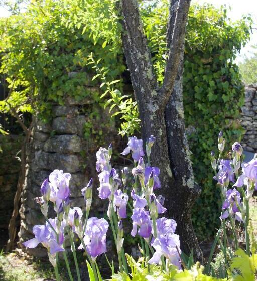 בית מלון כפרי Mas De La Beaume