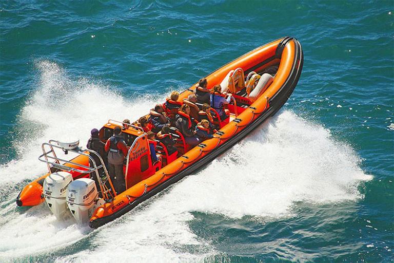 酒店 Norbury House