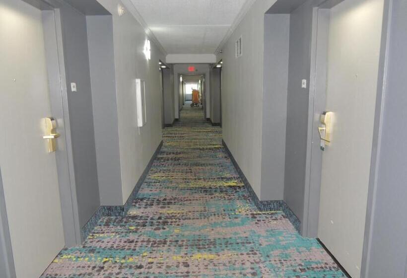 ホテル Quality Inn