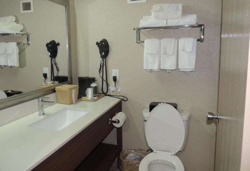 ホテル Quality Inn