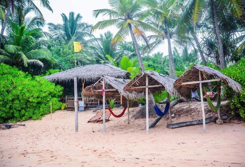 ホテル Shehani Beach Bungalow