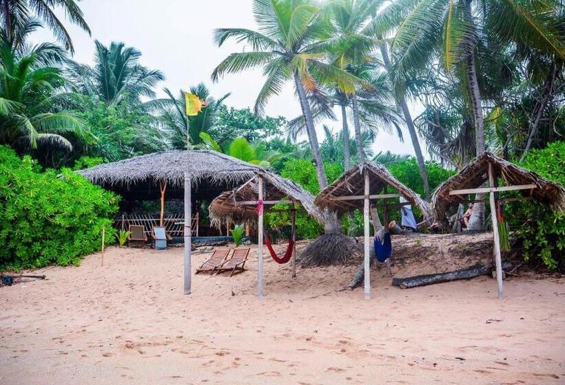 ホテル Shehani Beach Bungalow