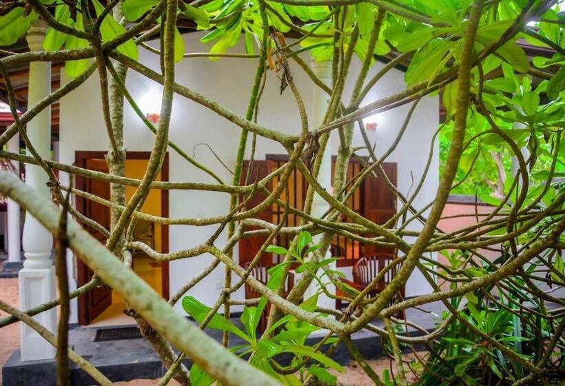 ホテル Shehani Beach Bungalow