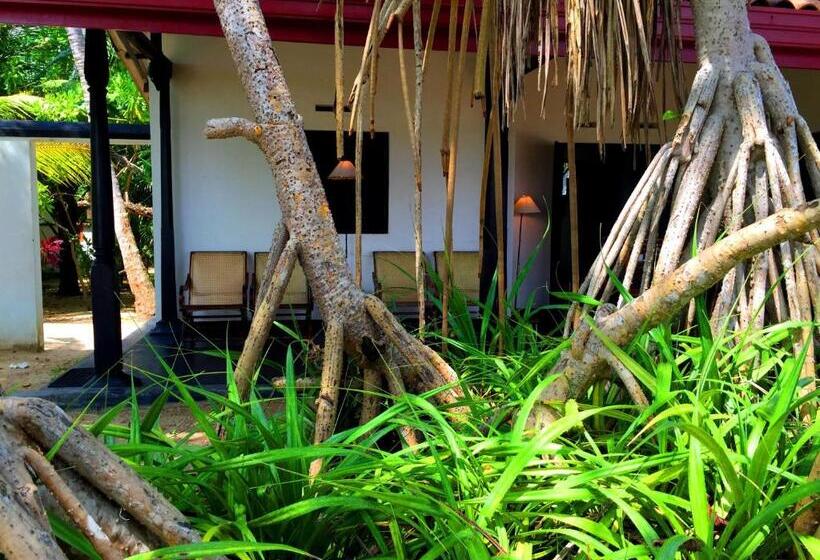 ホテル Shehani Beach Bungalow