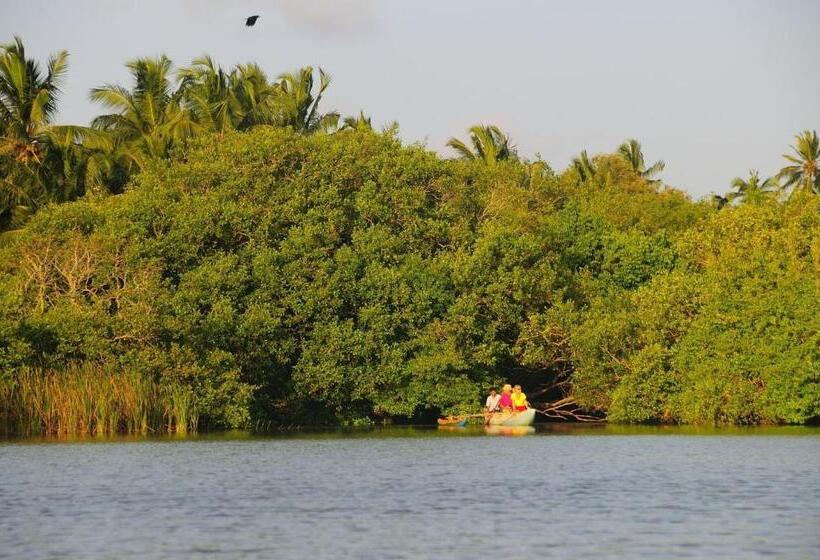 ホテル Shehani Beach Bungalow