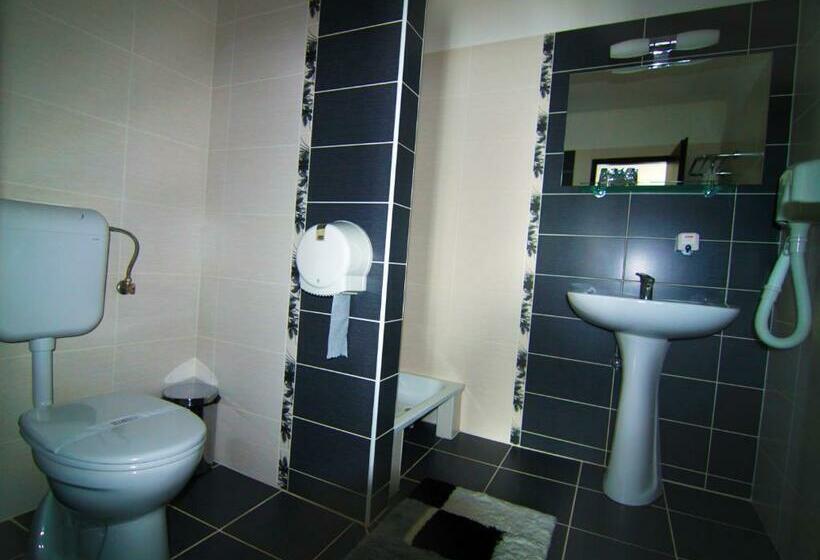 Отель Poarta Transilvaniei