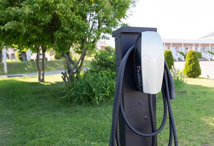 Motel Au Vieux Piloteux