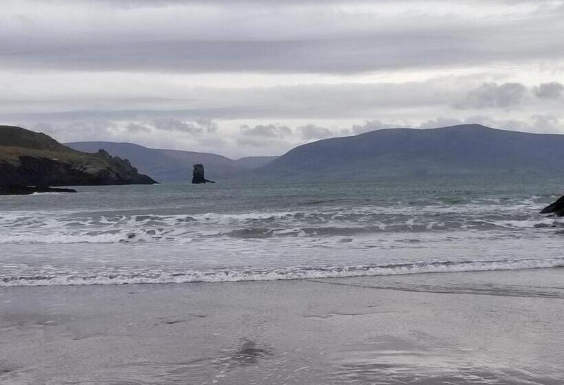 住宿加早餐 Murphy S Guesthouse