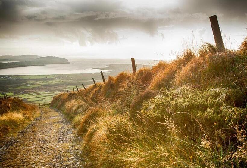 住宿加早餐 Murphy S Guesthouse