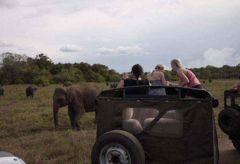 פנסיון Thisara Guest House