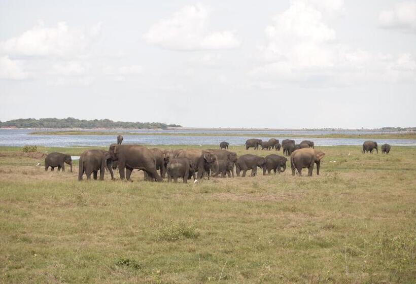 פנסיון Thisara Guest House