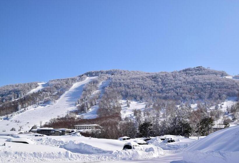 ریوکان Villa Ichinose