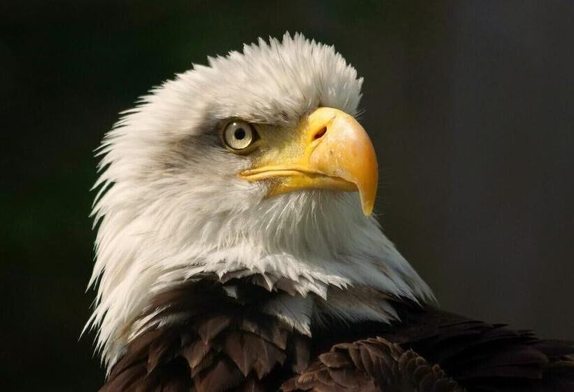 Antjes Schmankerlhotel Und Restaurant