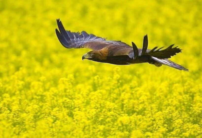 Antjes Schmankerlhotel Und Restaurant